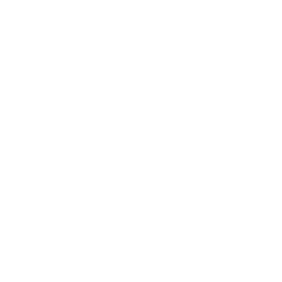 lowerys it