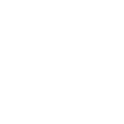 ohs global